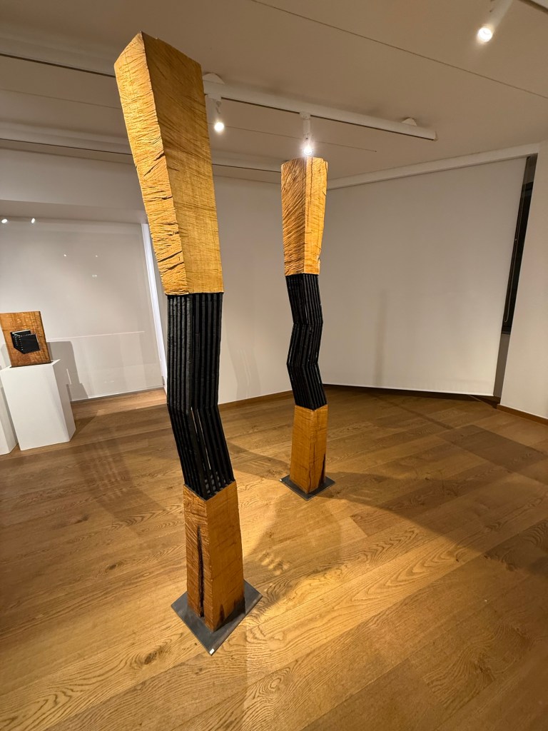 Galerie Simoncini : exposition par Jhemp Bastin